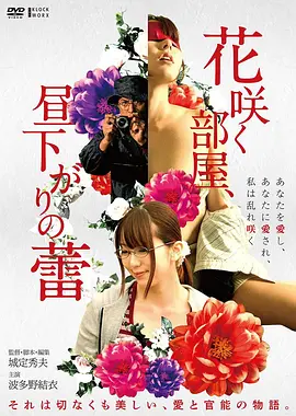 日本动画电影辉夜姬物语海报